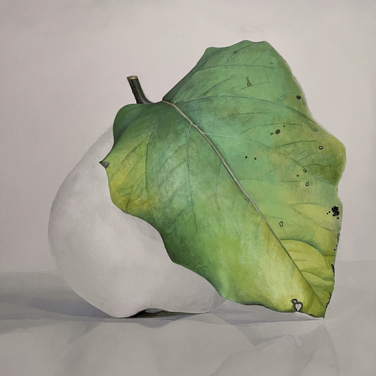 Quitte MUS-08, Acrylic on panel, 2025, von Diethard Sohn