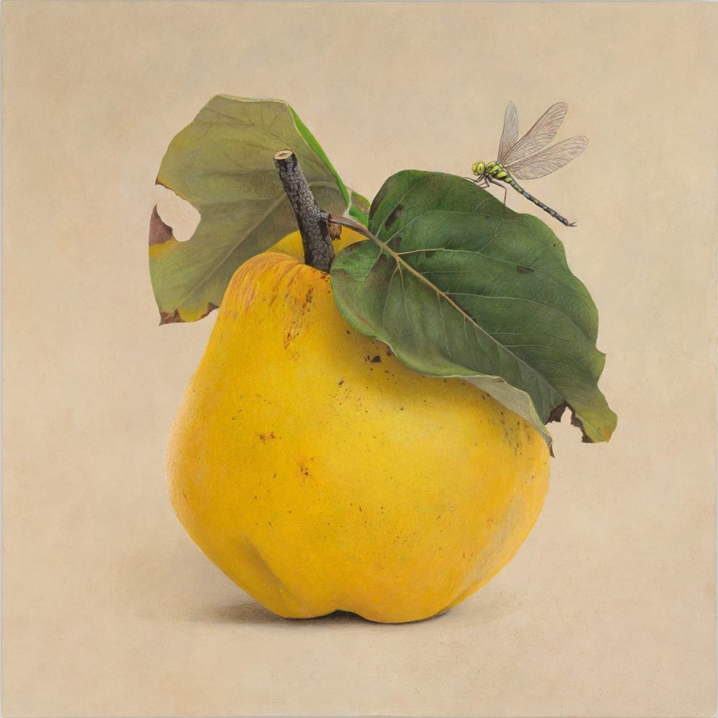 Quitte BW-01, Egg tempera on chalk ground/wooden panel, 2026, von Diethard Sohn