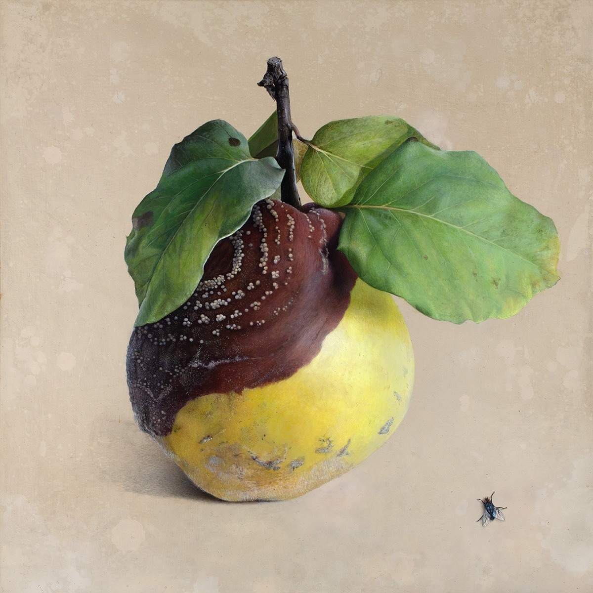 Quitte M-02, Acrylic on chalk ground/wooden panel, 2001, von Diethard Sohn