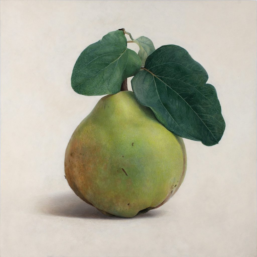 Quitte M-03, Egg tempera on chalk ground/wooden panel, 2021, von Diethard Sohn