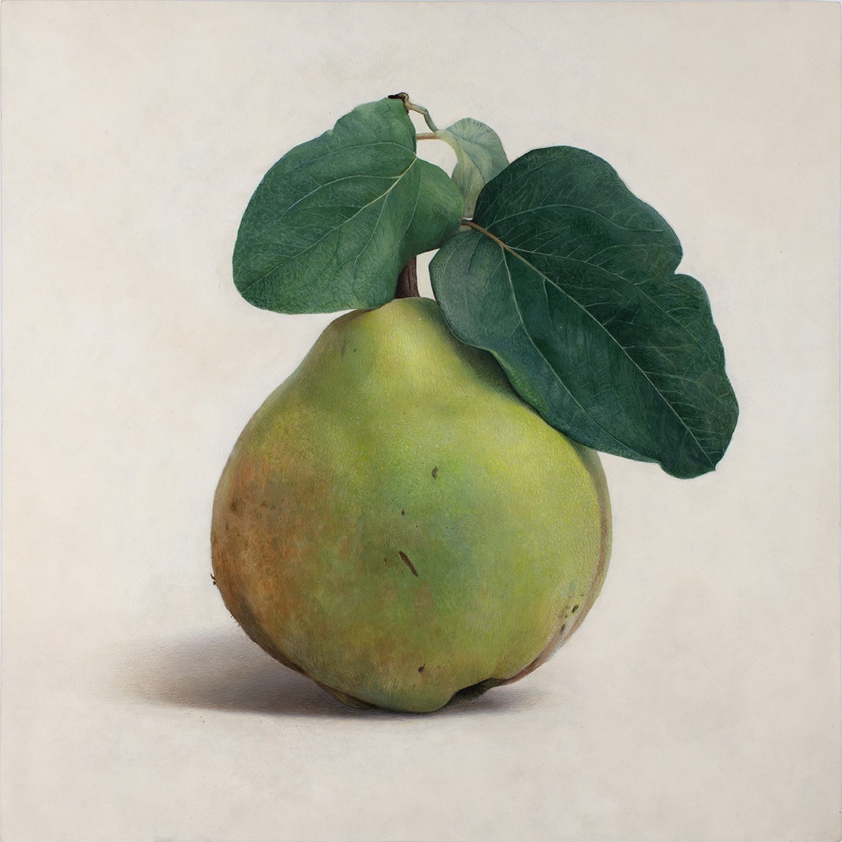 Quitte M-03, Egg tempera on chalk ground/wooden panel, 2021, von Diethard Sohn