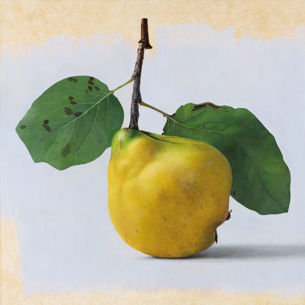 Quitte MUS-03, Egg tempera on chalk ground/wooden panel, 2025, von Diethard Sohn