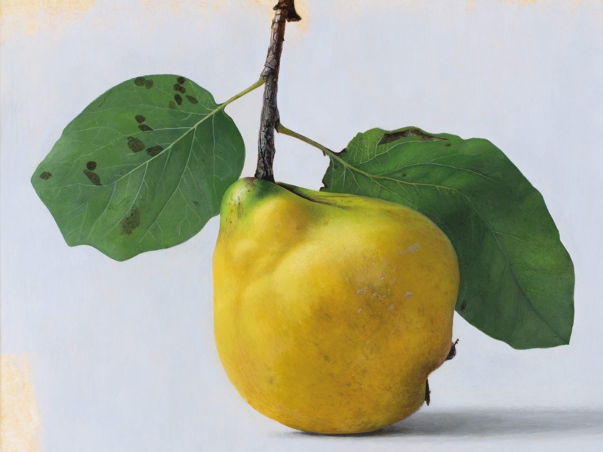 Quitte MUS-03, Egg tempera on chalk ground/wooden panel, 2025, von Diethard Sohn