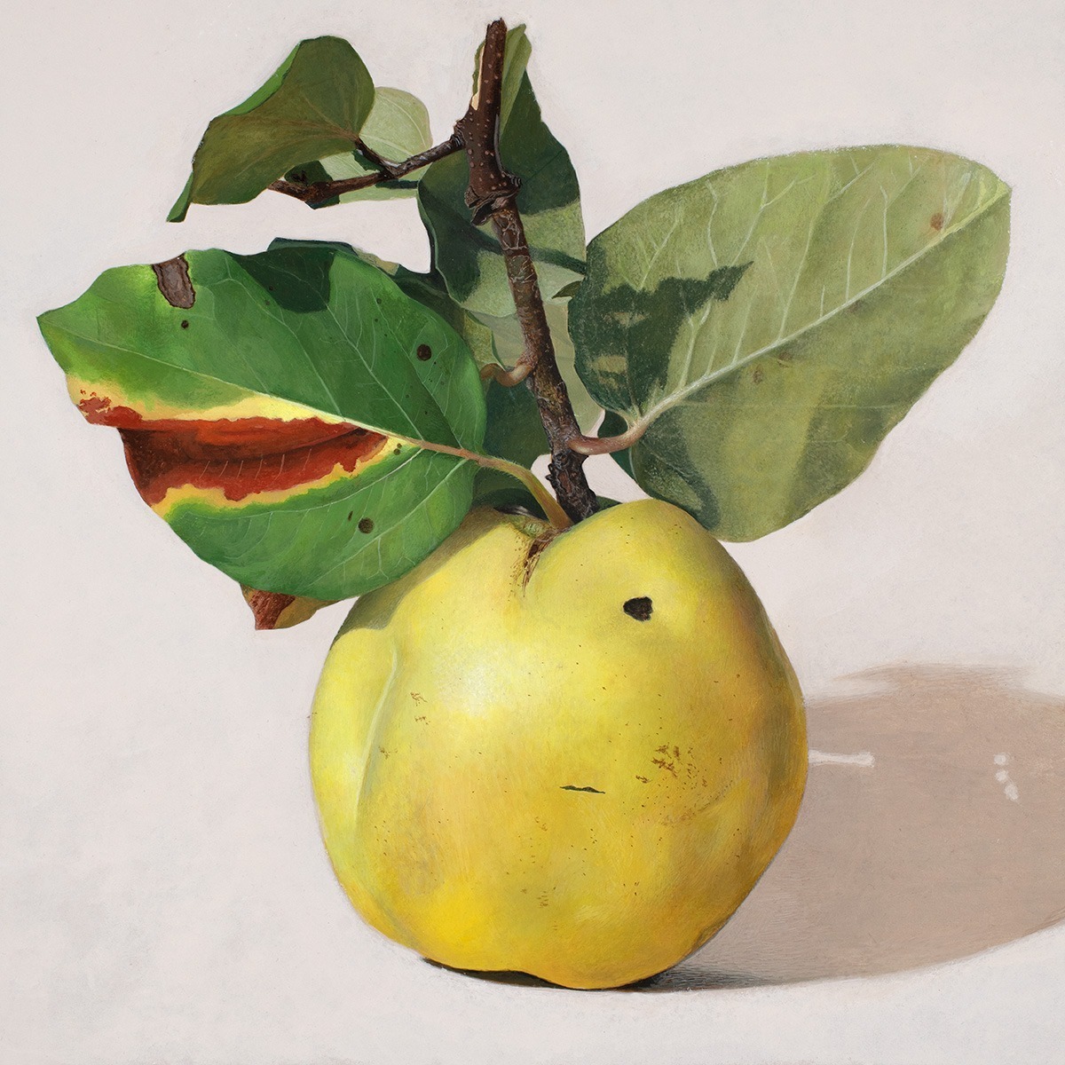 The Technique Behind the Quince Paintings – seminar with Diethard Sohn