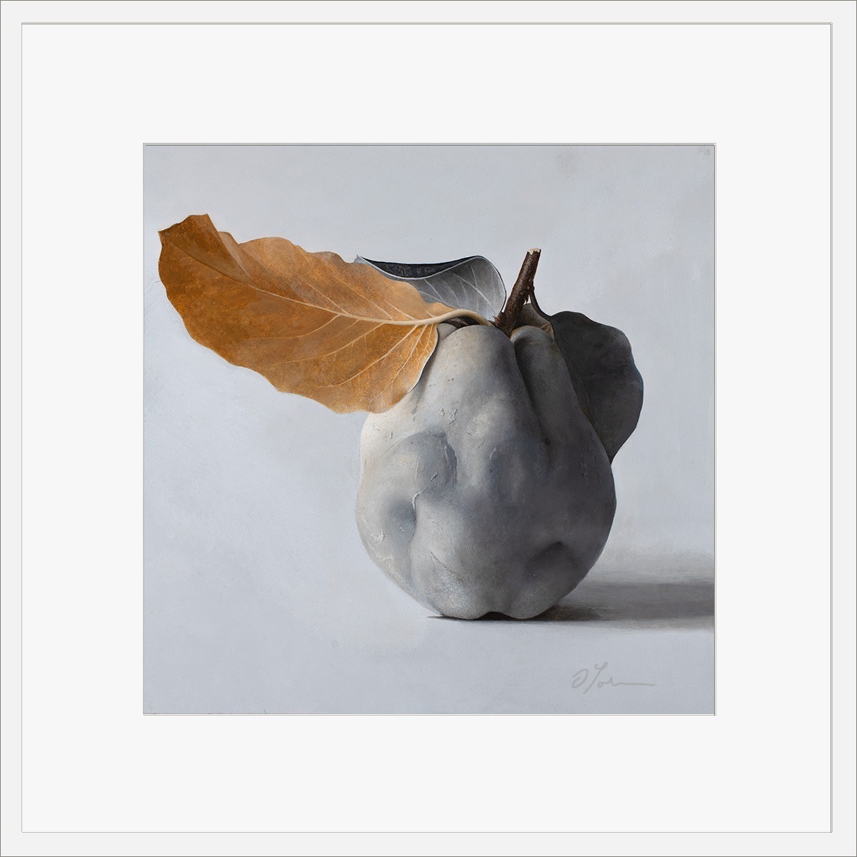 Quitte-MUS-01-4040-ET-2025, Fine art print on Hahnemühle paper, signed, 2026, von Diethard Sohn