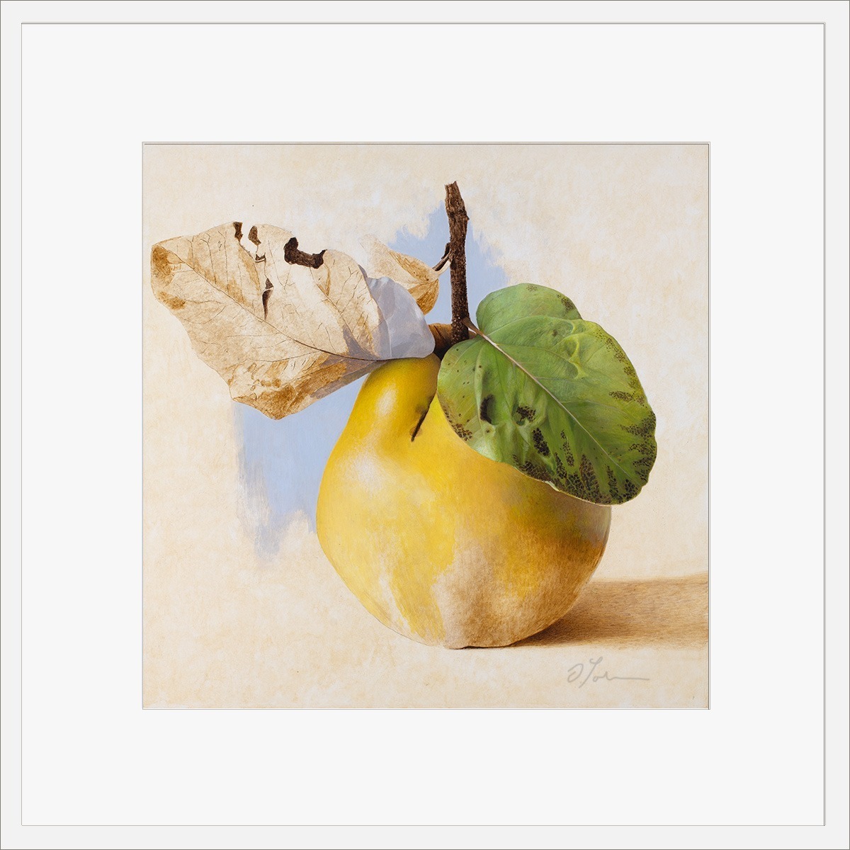 Quitte-MUS-02-4040-ET-2025, Fine art print on Hahnemühle paper, signed, 2026, von Diethard Sohn