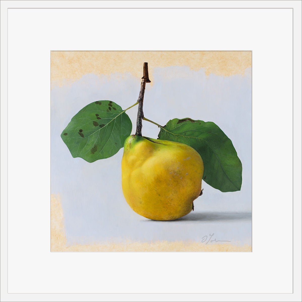 Quitte-MUS-03-4040-ET-2025, Fine art print on Hahnemühle paper, signed, 2026, von Diethard Sohn