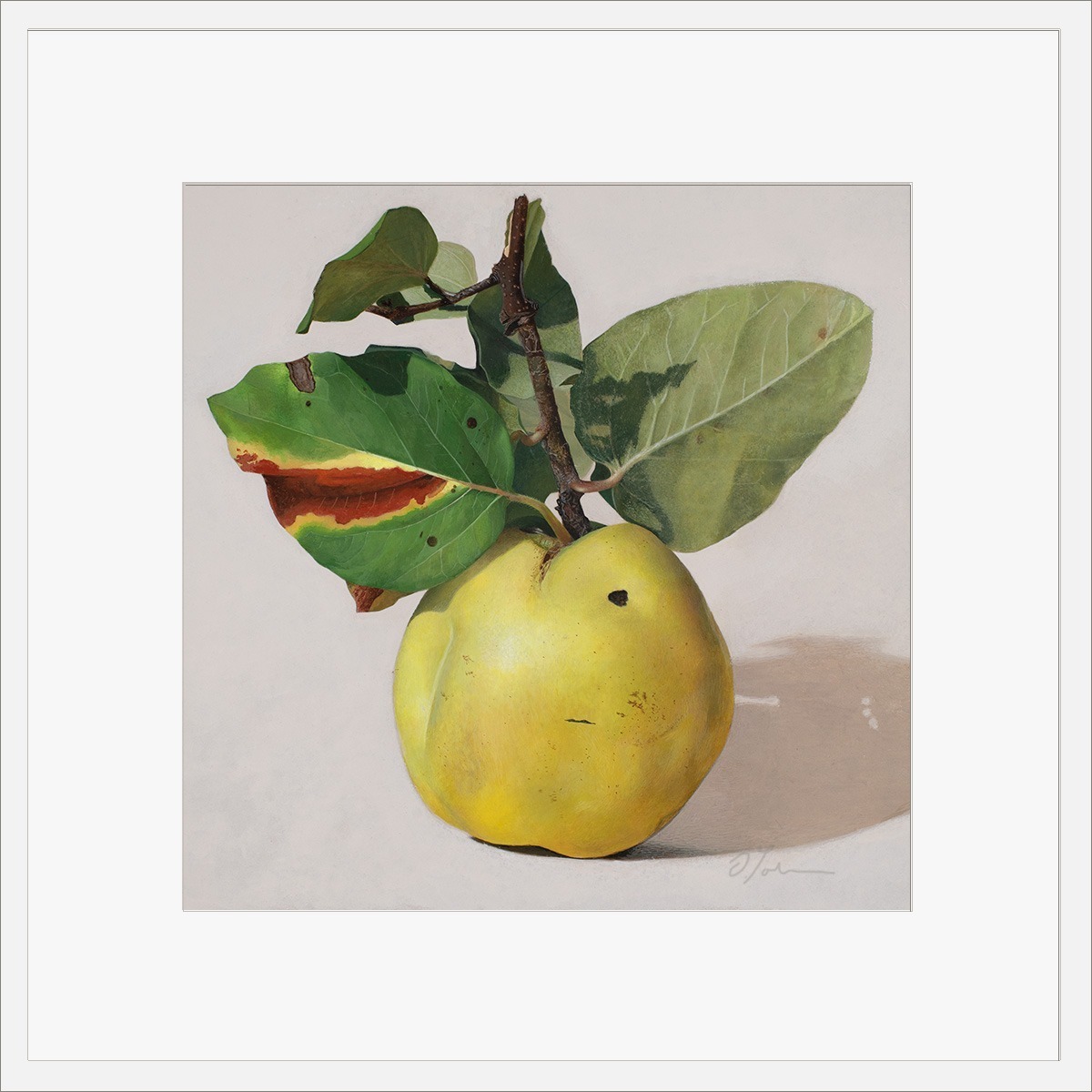 Quitte-MUS-04-4040-ET-2025, Fine art print on Hahnemühle paper, signed, 2026, von Diethard Sohn