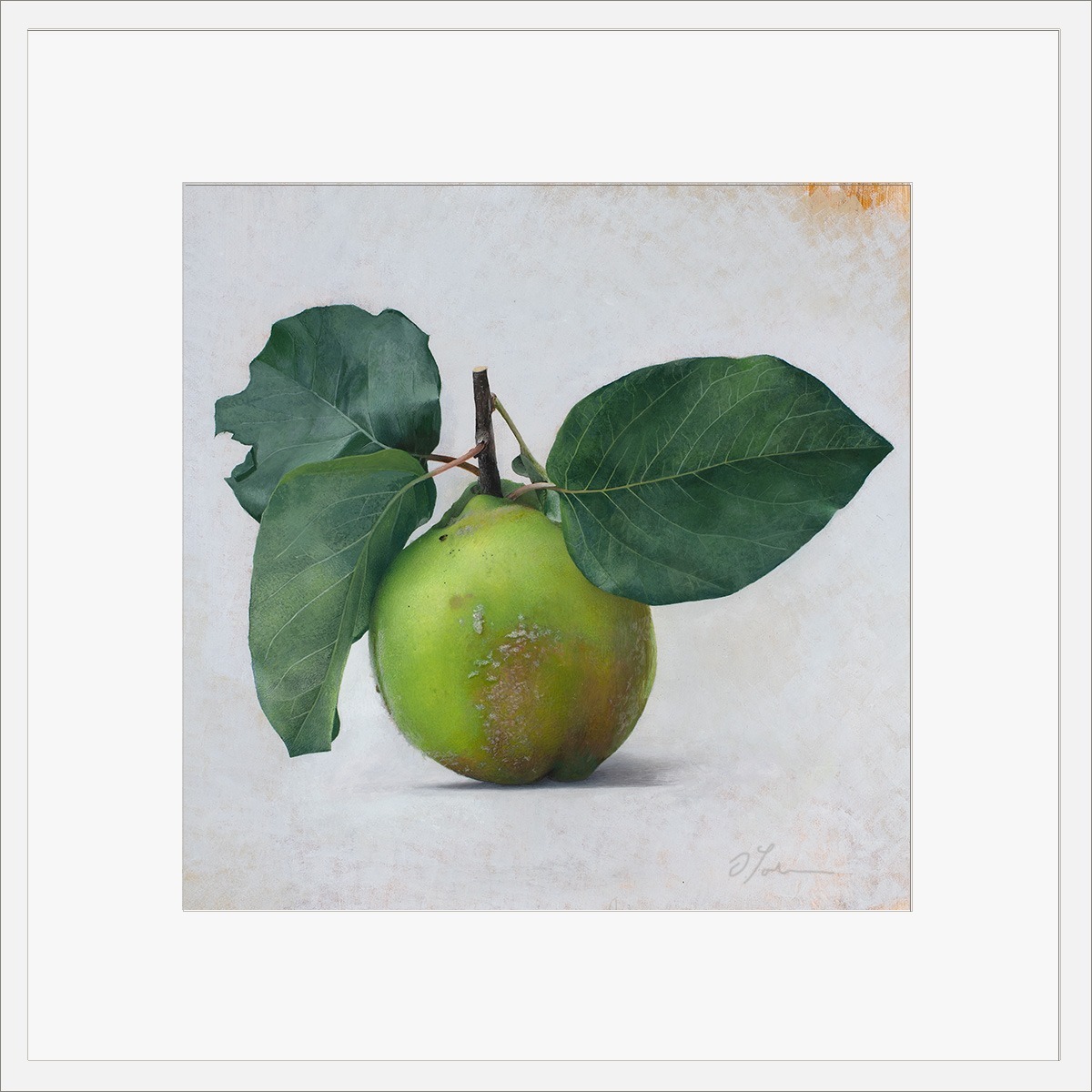 Quitte-MUS-05-4040-ET-2025, Fine art print on Hahnemühle paper, signed, 2026, von Diethard Sohn